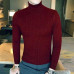 Winter Turtleneck Pullovers Warm Men's Sweater Slim Pullover men Knitted sweater